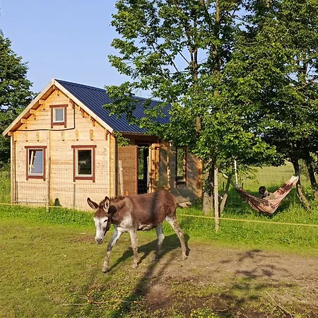 W Oslej Dolinie - Glebock