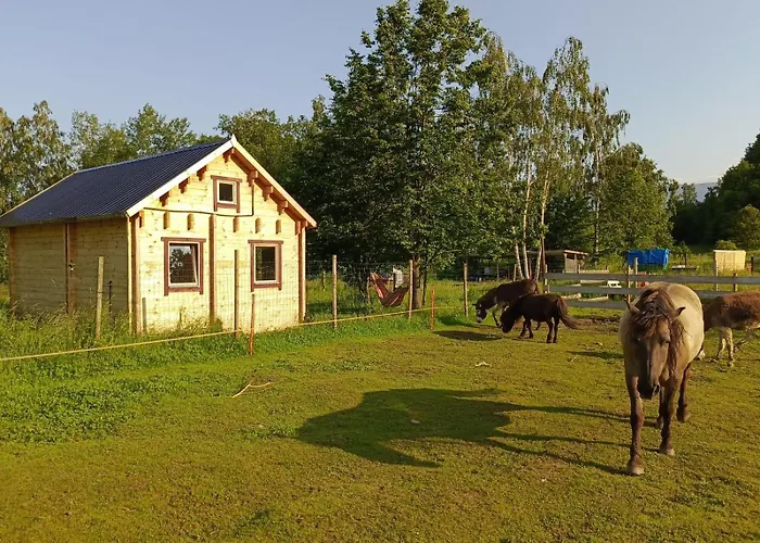 Dom wakacyjny W Oslej Dolinie - Glebock Miłków