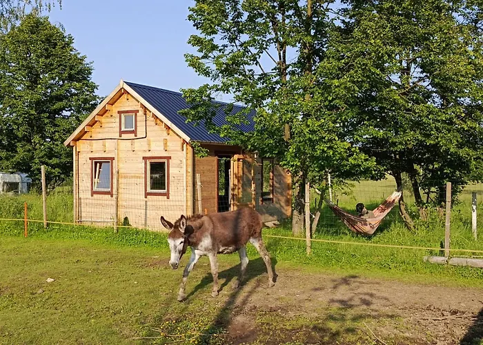 W Oslej Dolinie - Glebock